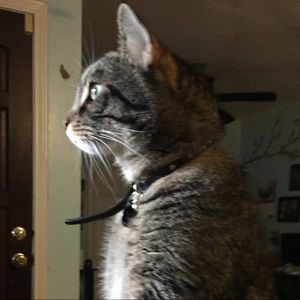 Meet your Posher, Lori